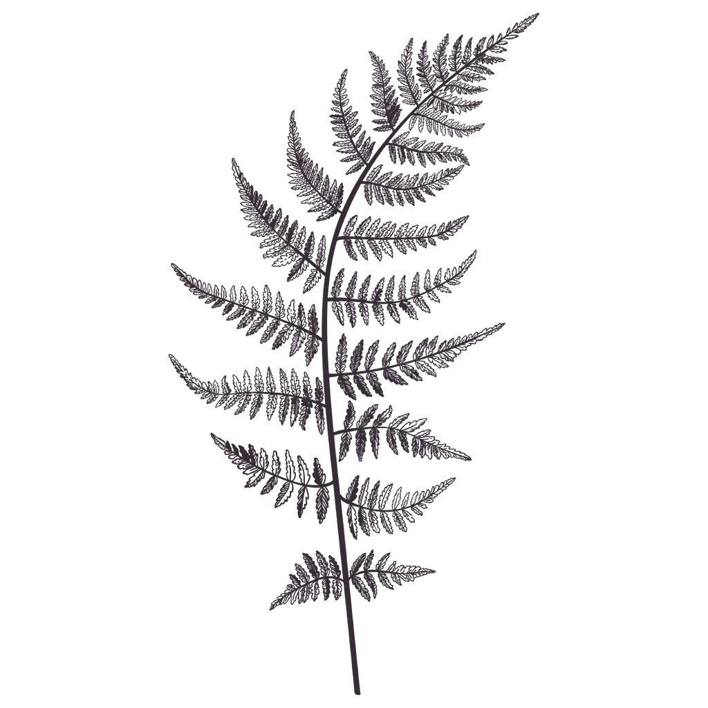 かるみこleaf（背景なし）