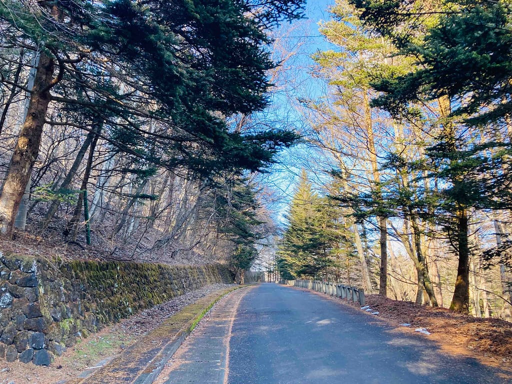 軽井沢離山別荘エリアの山道