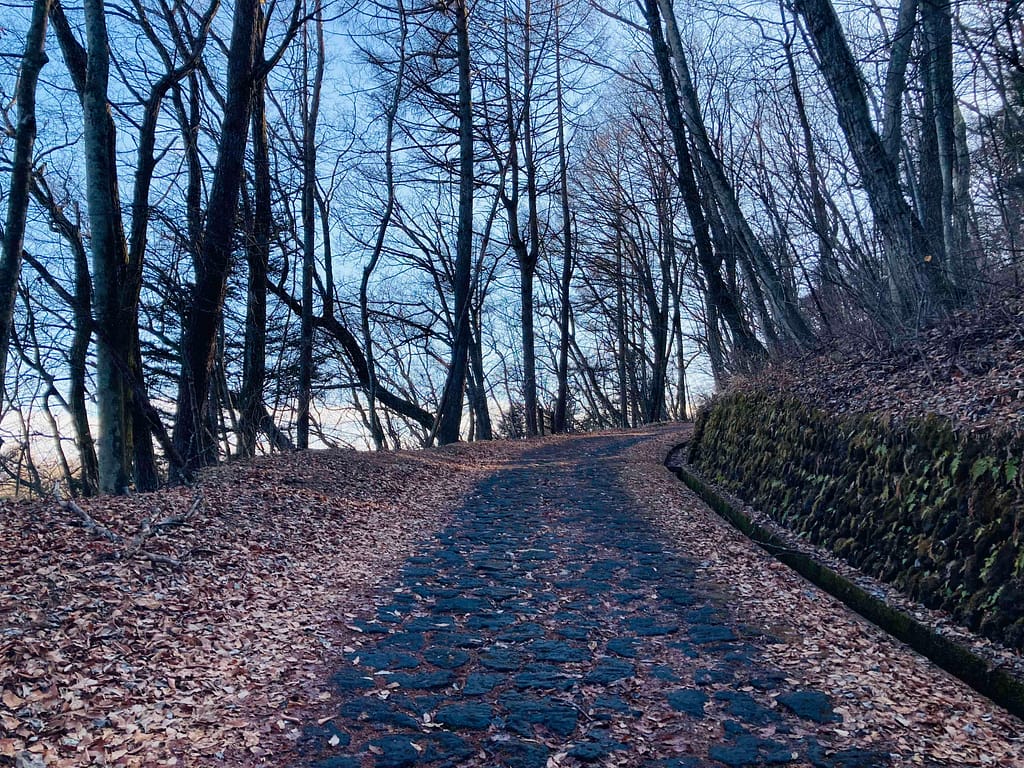 軽井沢離山登山