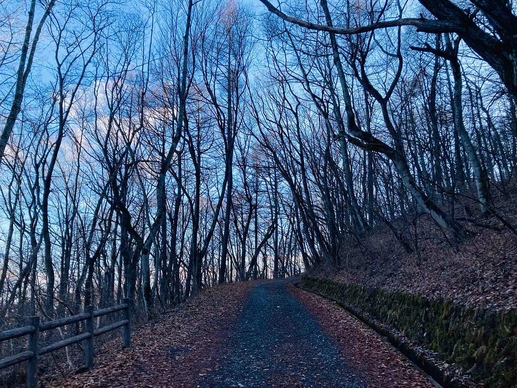 軽井沢離山登山の様子