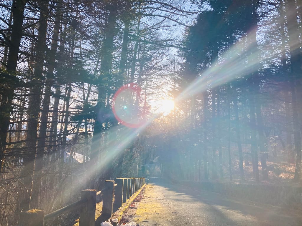 軽井沢離山下山