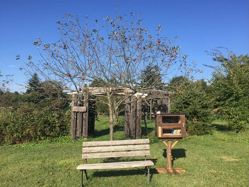 御代田のmacco's field