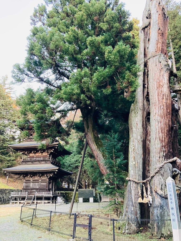 御代田真楽寺