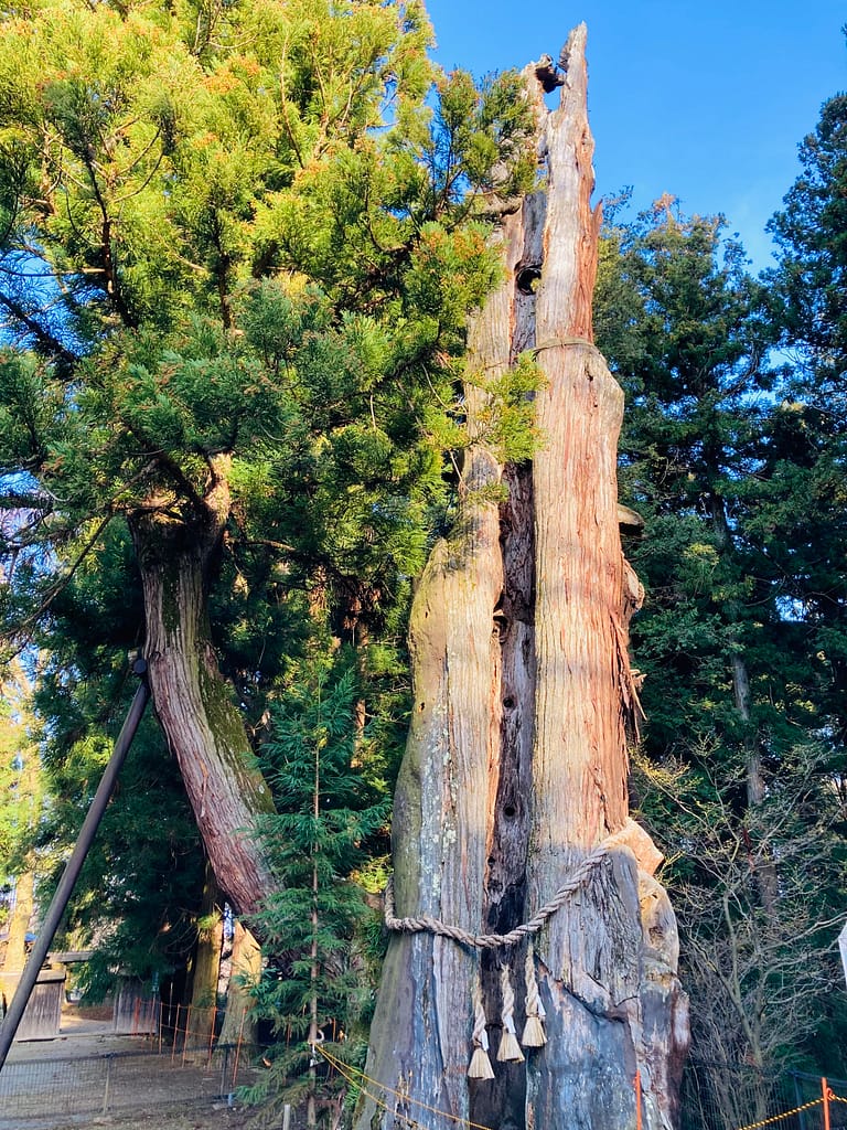 御代田真楽寺