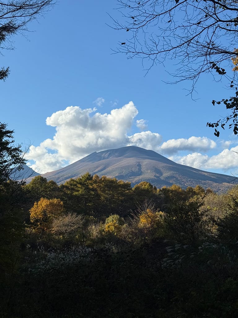 星野エリア-ピッキオから眺める浅間山