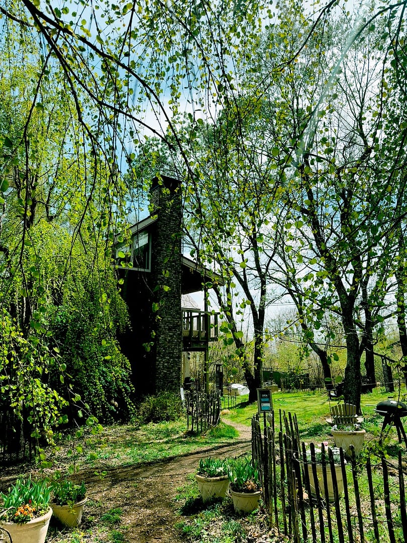 追分-hermetic earth cafe