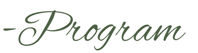 program