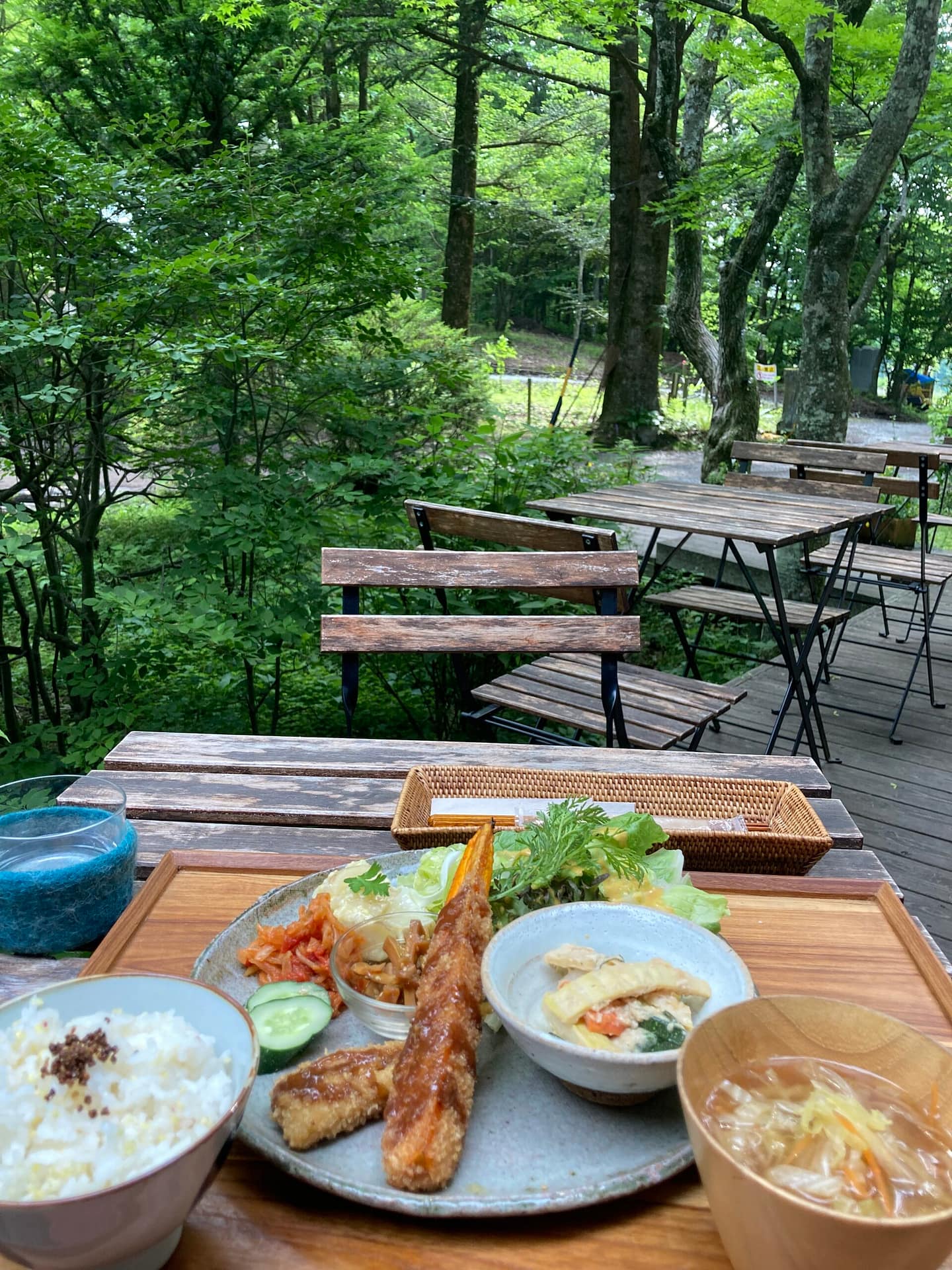 身体に優しいヴィーガン料理の数々