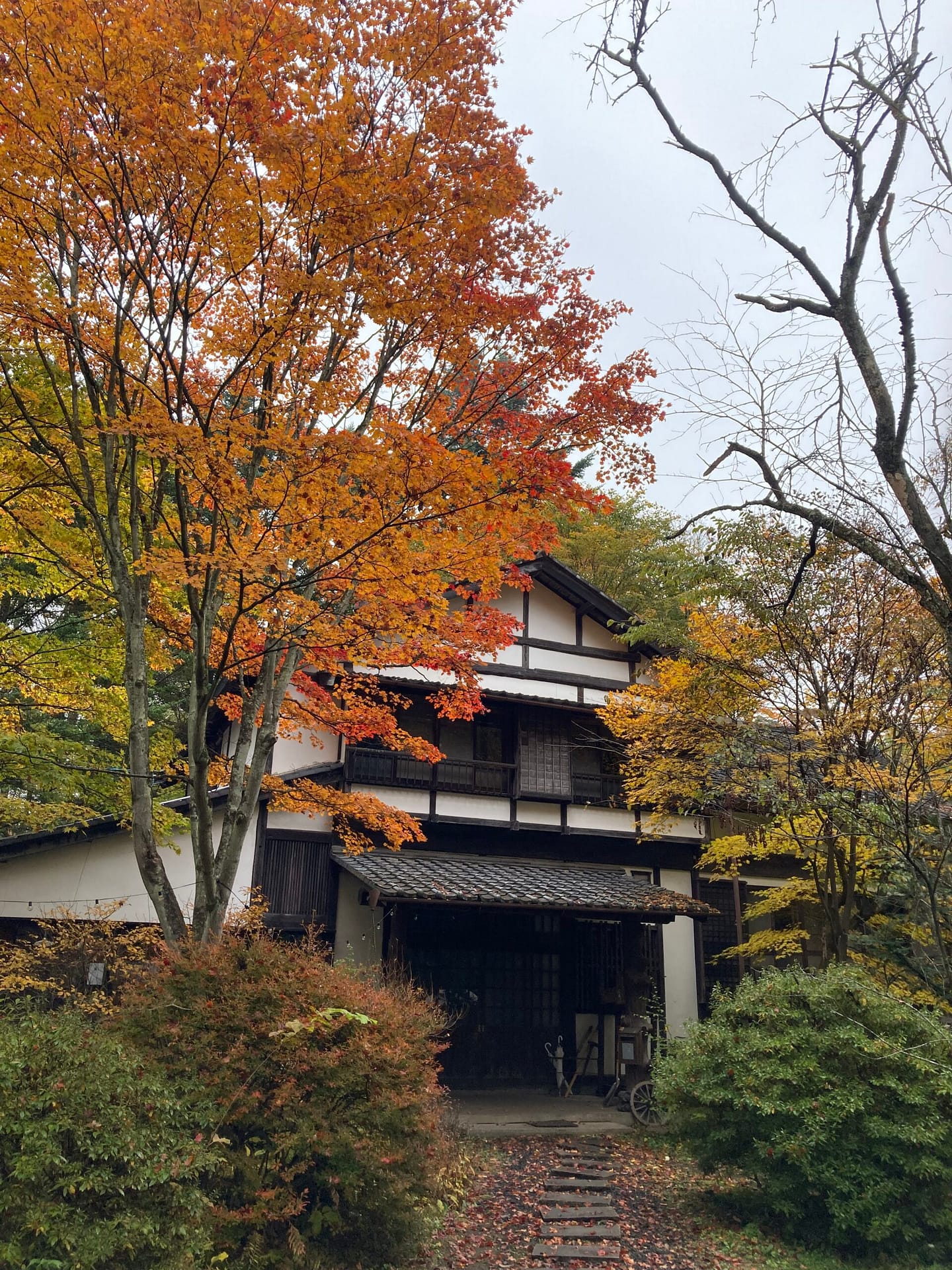 四季折々豊かな自然が美しい空間