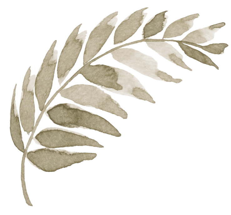 シルバーリーフ