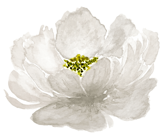 ホワイトフラワー