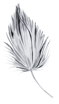 leaf-black white